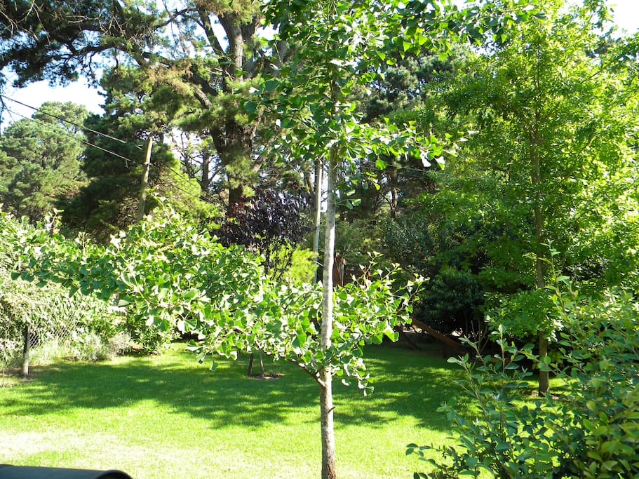 Vista Jardín