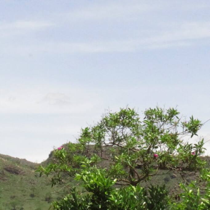 visão da Serra do Lenheiro