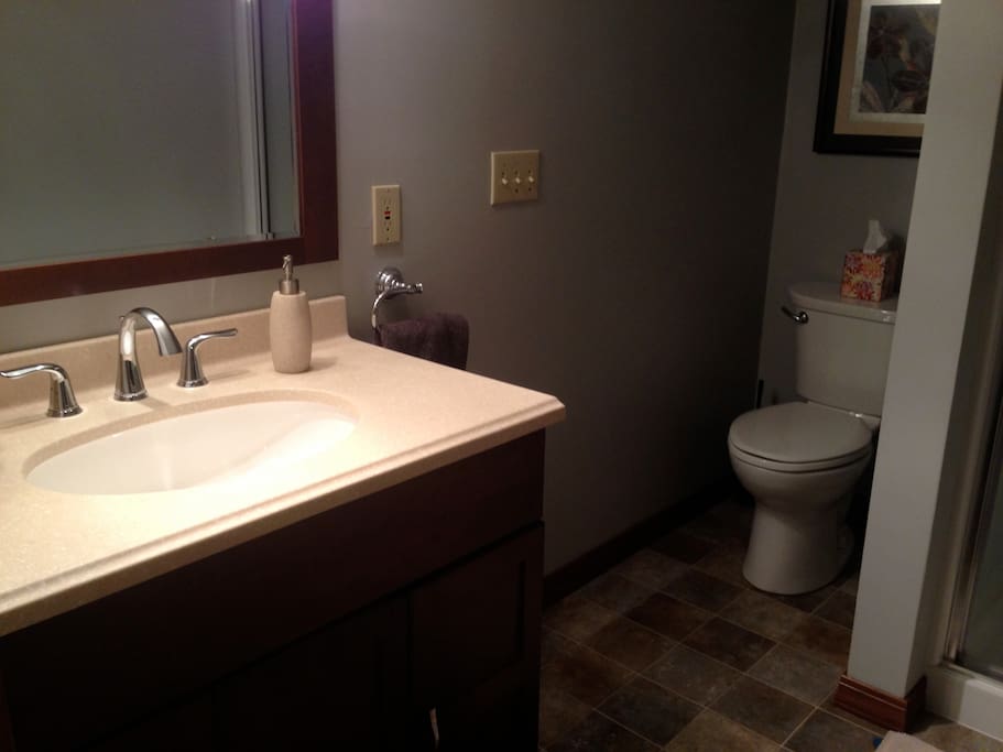 Full Downstairs Bathroom With Shower