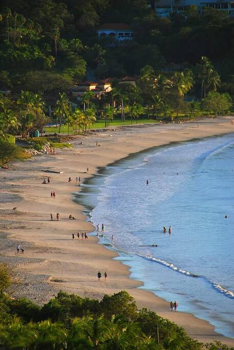 Can we introduce you to Flamingo Beach?