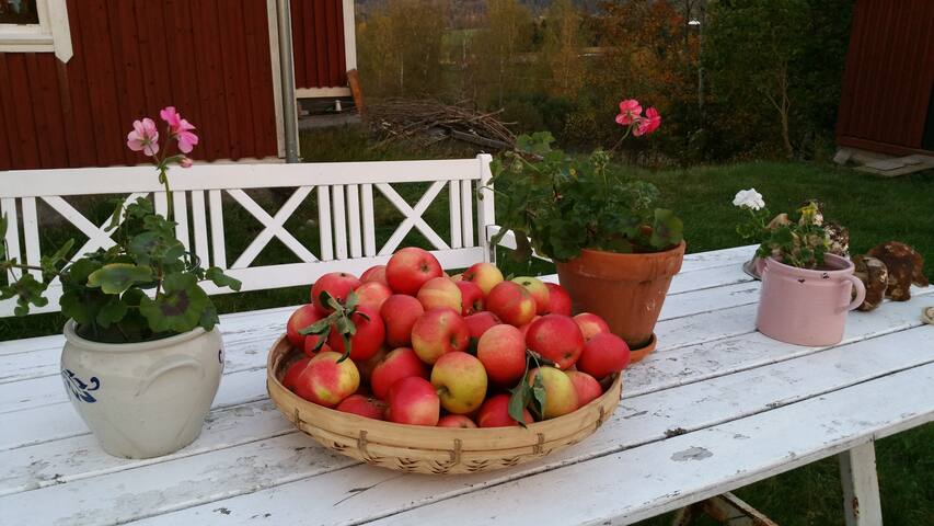 Beautyful old Swedish house