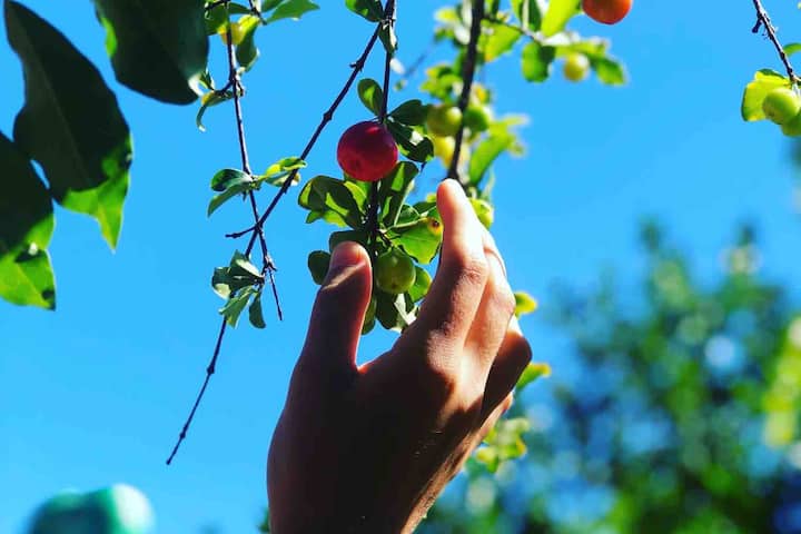Casa Morena do Mar! An encounter with nature!