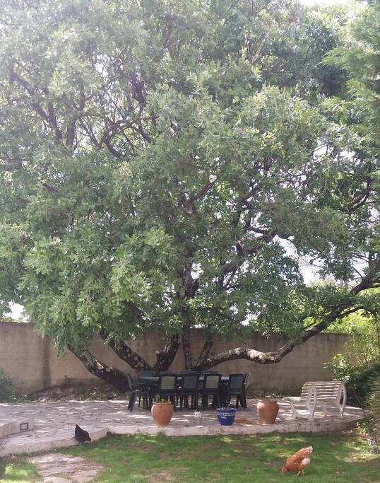Terrasse ombragée sous le chêne