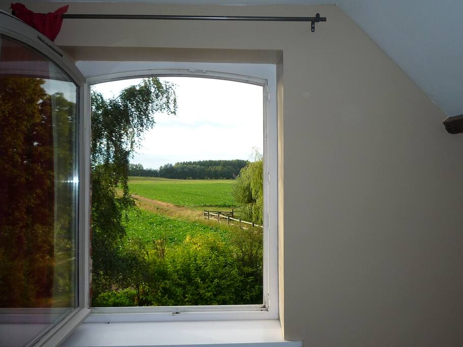 Vue de la chambre