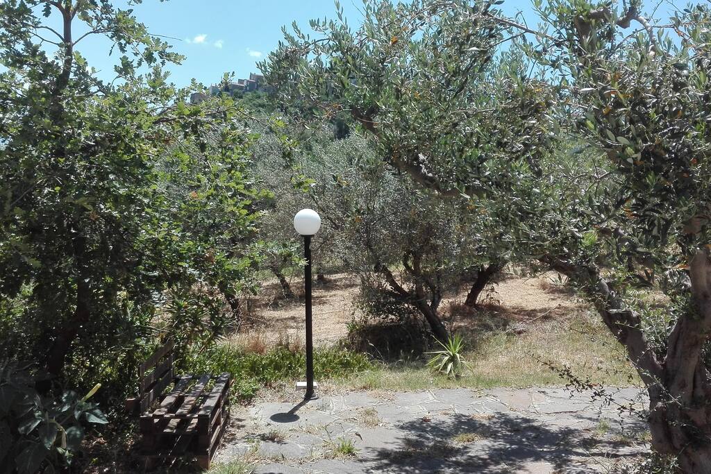 il giardino