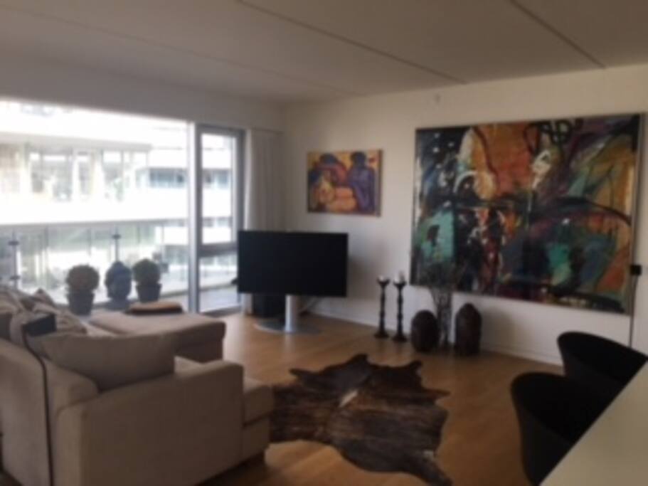 TV-stue (55")