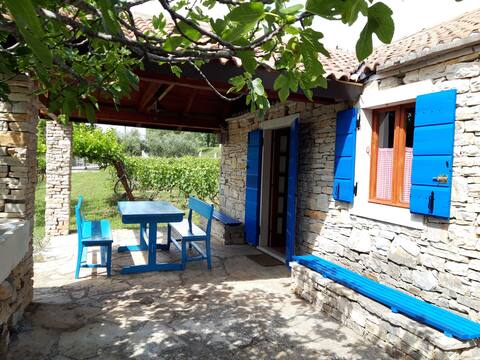 Popular Airbnb listing: Benkovac, Country house in Grad Benkovac