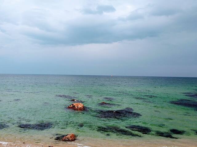 [Uljin Port Ari Minbak] My 'Healing Time' ㅡ Please feel simple but not enviable time