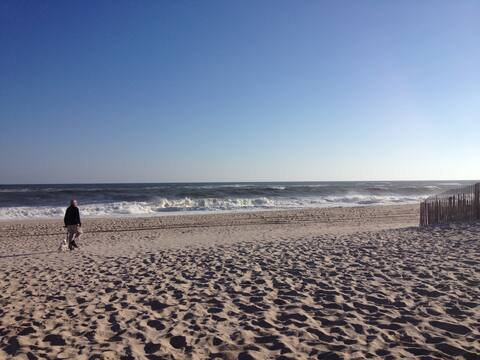 Halsey Neck Beach Ferienwohnungen Unterkunfte Southampton New York Airbnb