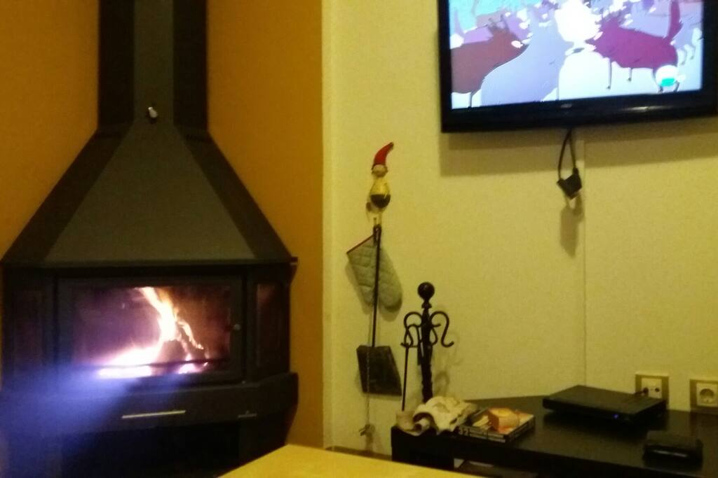 Chimenea acristalada. Más segura y confortable.
