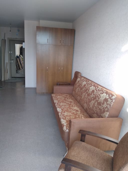 General view of the room and the sofa-bed.