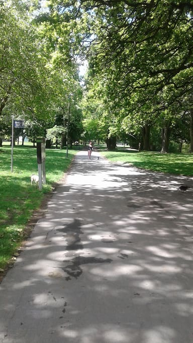 close to city and parks, happy to drop off and pick up