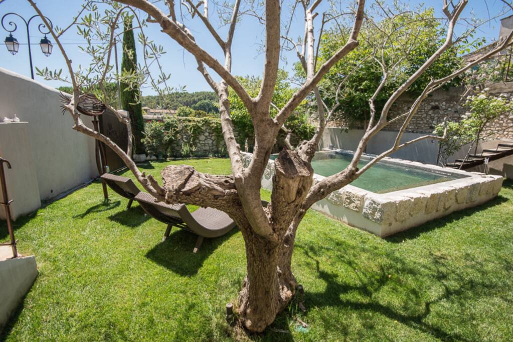 garden
