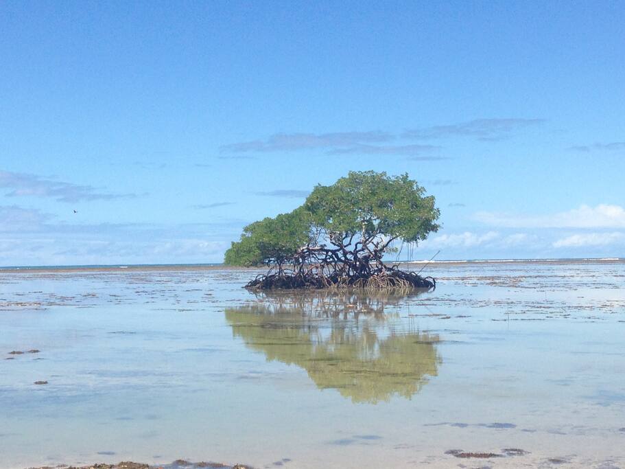 PRAIA DE GARAPUA