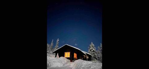 Cabin near Rauland Ski Center!