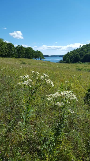 Fields and the Sheepscot River
