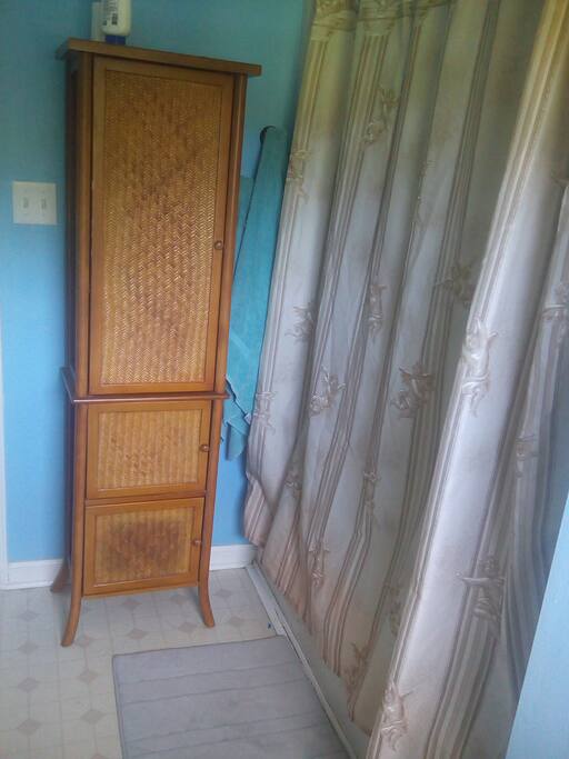 master bath2