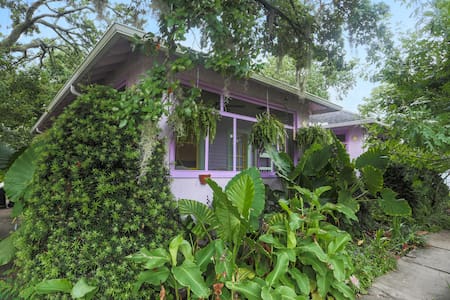 The Purple House by Tulane