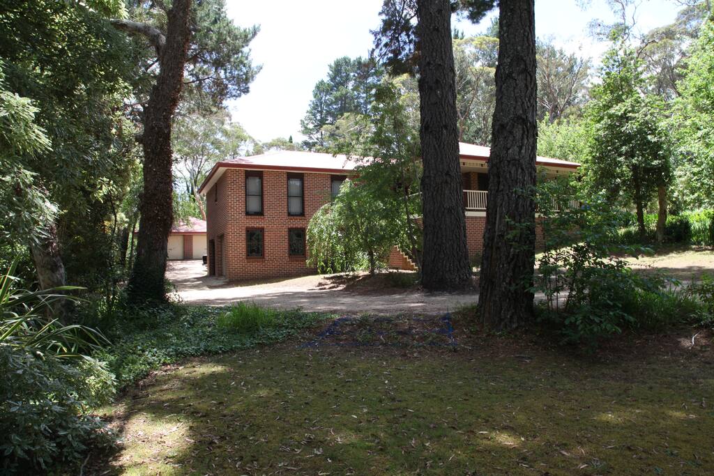 Front yard
