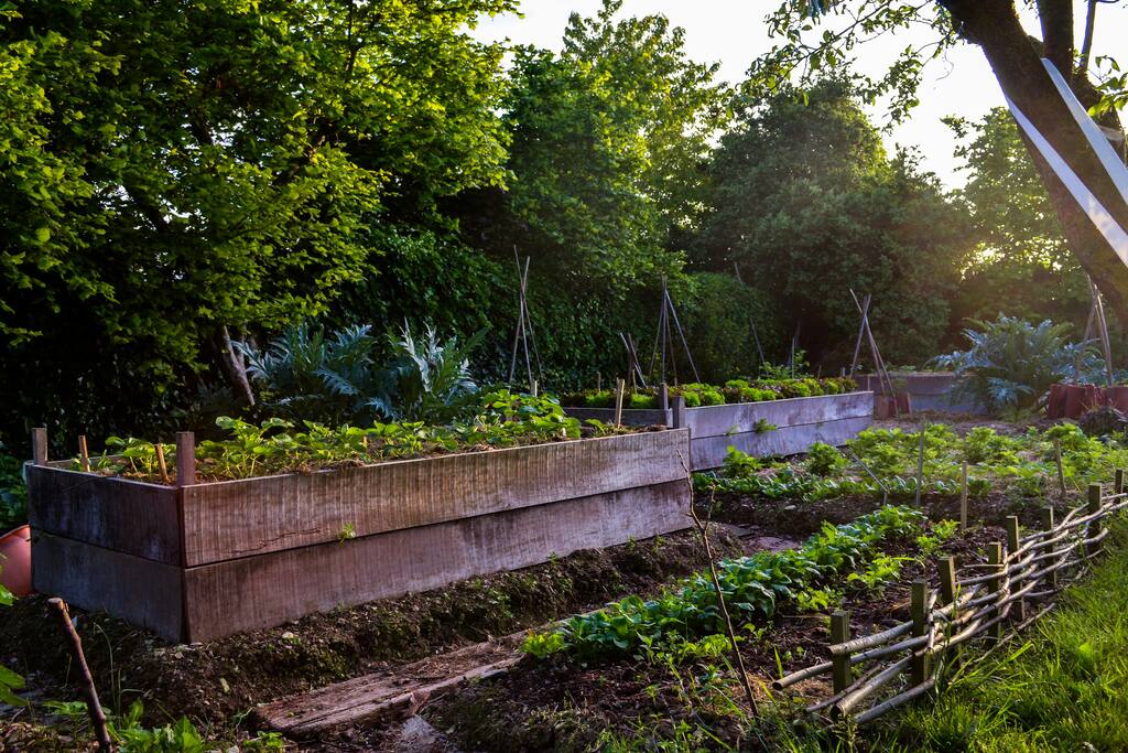 jardin potager