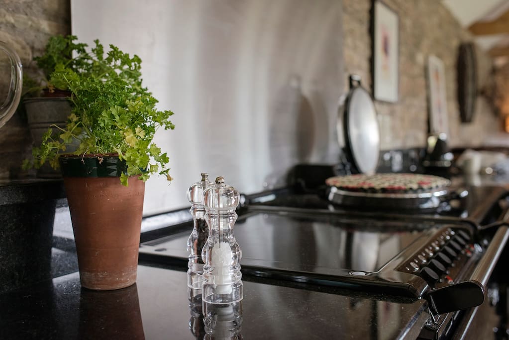 Well Equipped Kitchen with Aga