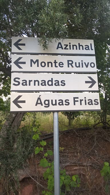 Papoila se encontra em Sarnadas