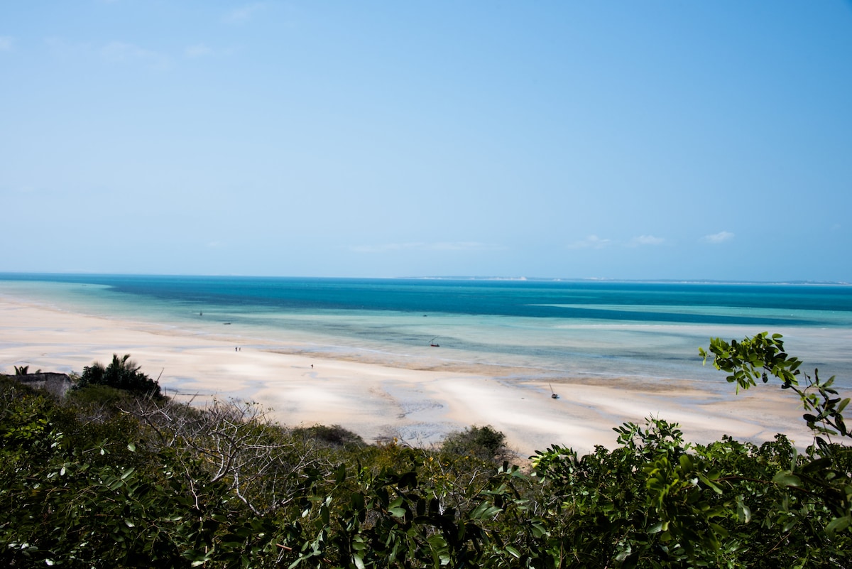 A panoramic view of the Indian Ocean showcases varying shades of blue and green, reflecting the shallow waters and sandy beach. Gentle waves are visible lapping at the shore, while distant figures are seen along the coastline. Lush greenery frames the foreground, enhancing the scenic outlook.