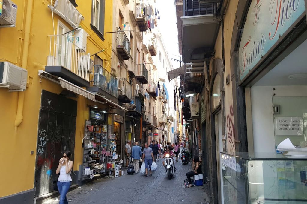 Appartamento Affitto Napoli Centro Appartamento Affitto Napoli Centro