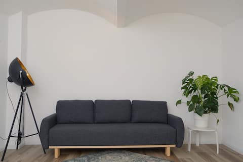 Leistungsstarkes Airbnb: Stylish basement apartment near the Elbe and the city center in Dresden