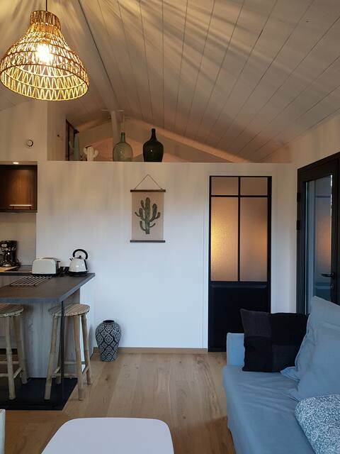 Propriété Airbnb réussie: Typical small house in the Bassin d'Arcachon 3* à La Teste De Buch