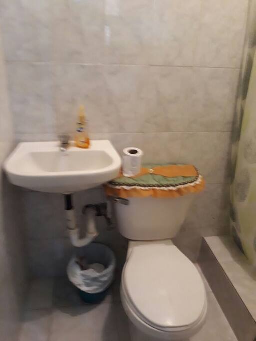 Inodoro con labamanos