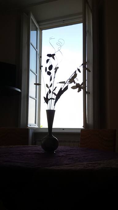 Lake view window
