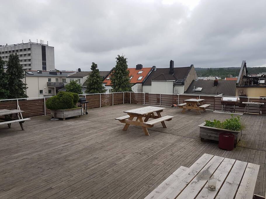 Terrasse mot vest.