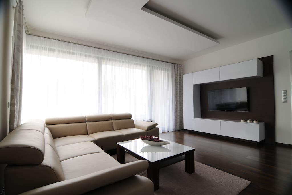 Sofa in the living room