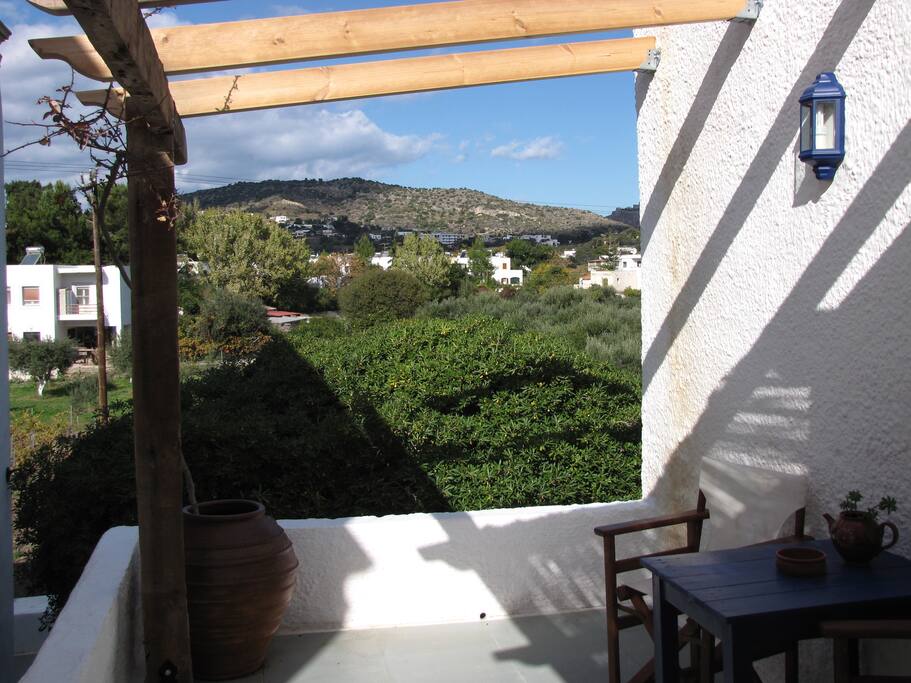 View
