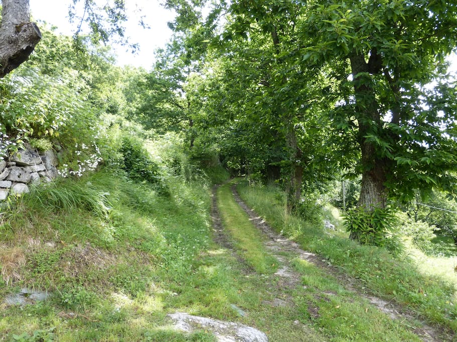 Chemin d'accès