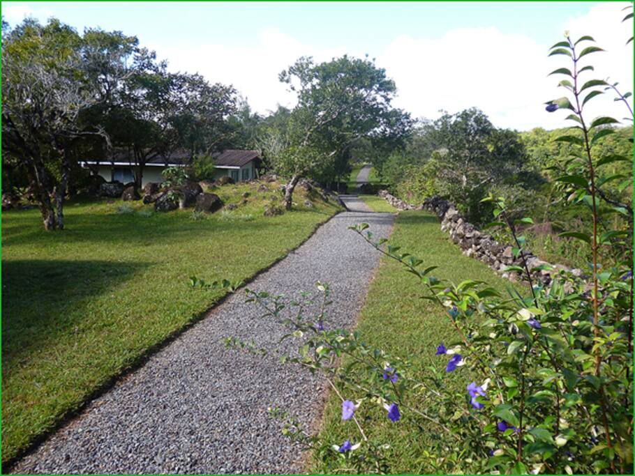on-site running/walking trail
