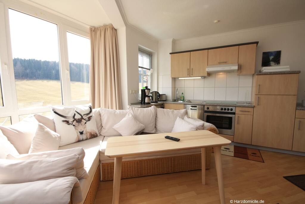 Wohn- /Essbereich mit offener Küche und Bett