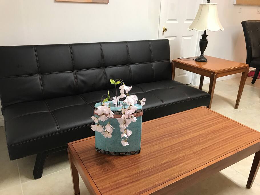 Living room with sofa bed