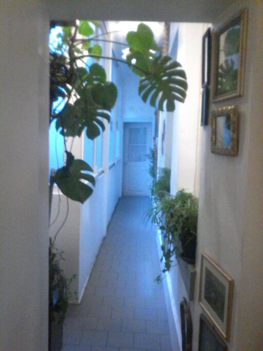 Une petite jungle...