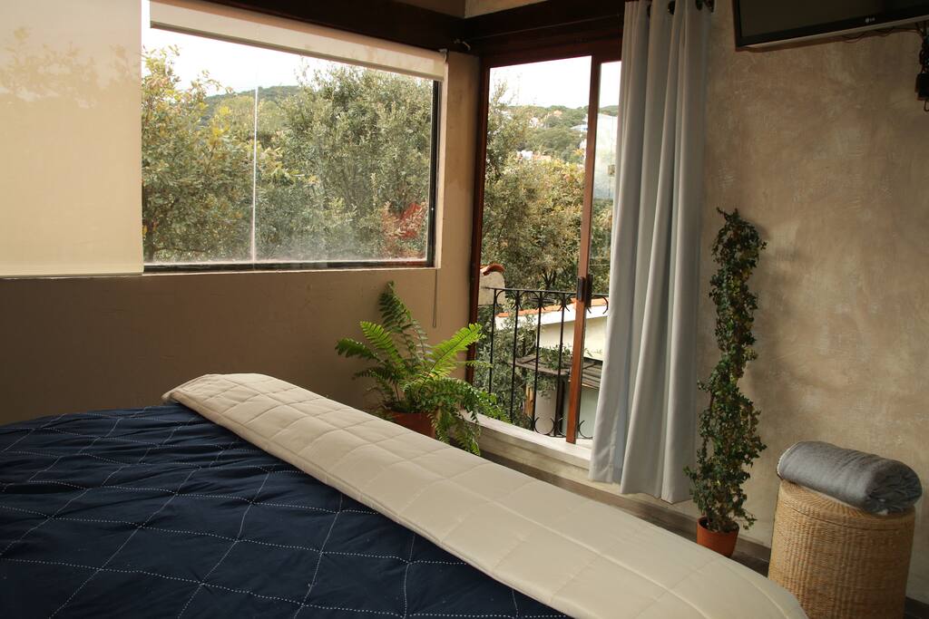 Habitación con cama King size