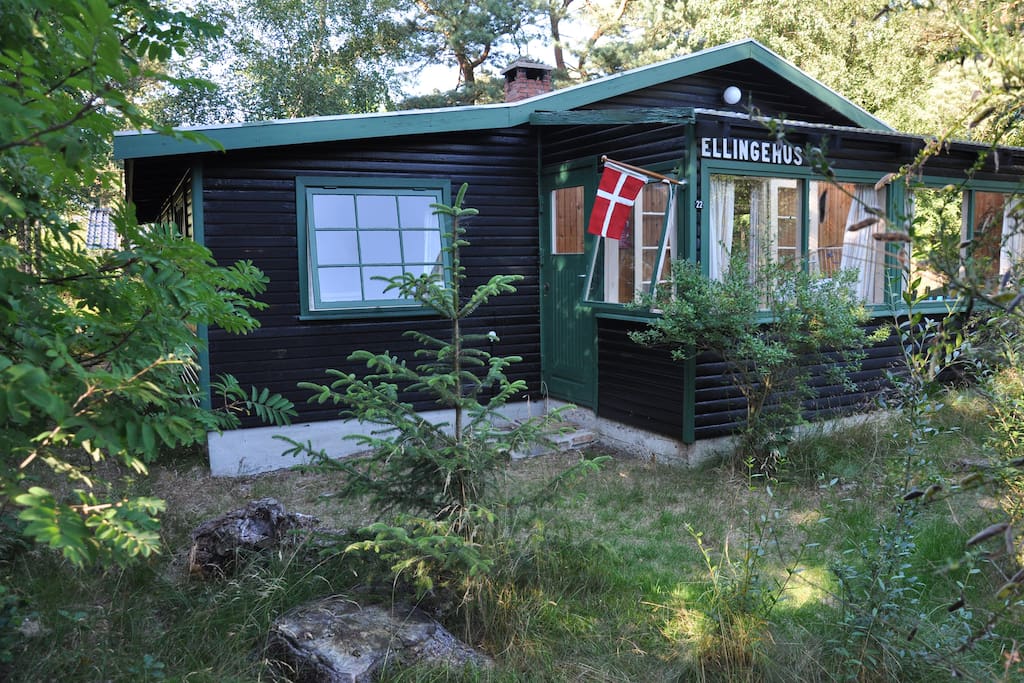 Meet your next summerhouse - garden has been tidied up recently - new picture coming soon :)