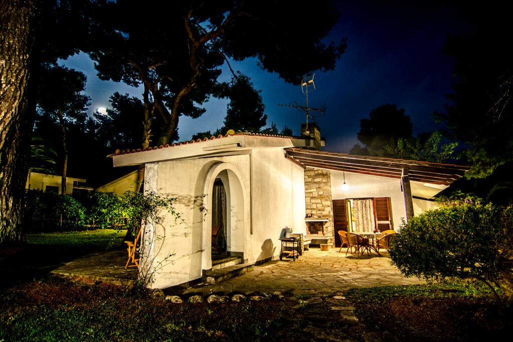 Magnificent night ambiance