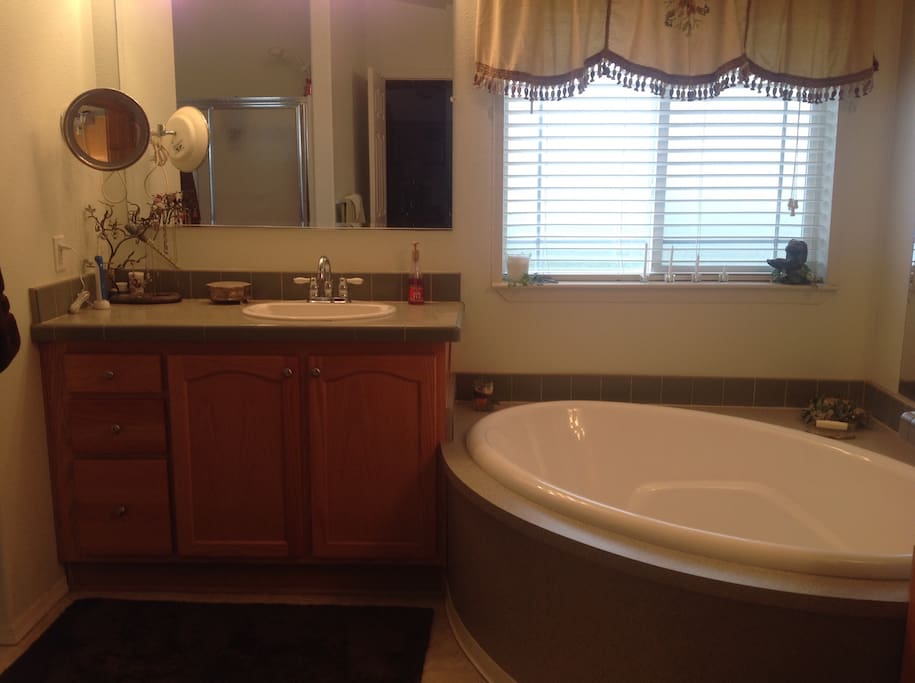 Master bathroom with soaking tub.