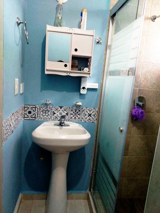 A private bathroom is displayed, featuring a compact white sink with a pedestal. Light blue walls complement the dark tile accents. A shower stall is enclosed with transparent glass, and a mounted cabinet with shelves is included for storage. A purple loofah hangs from the shower.