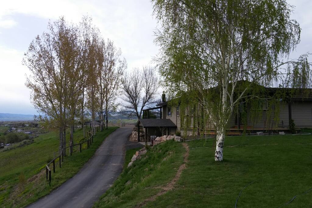 Side View of Home