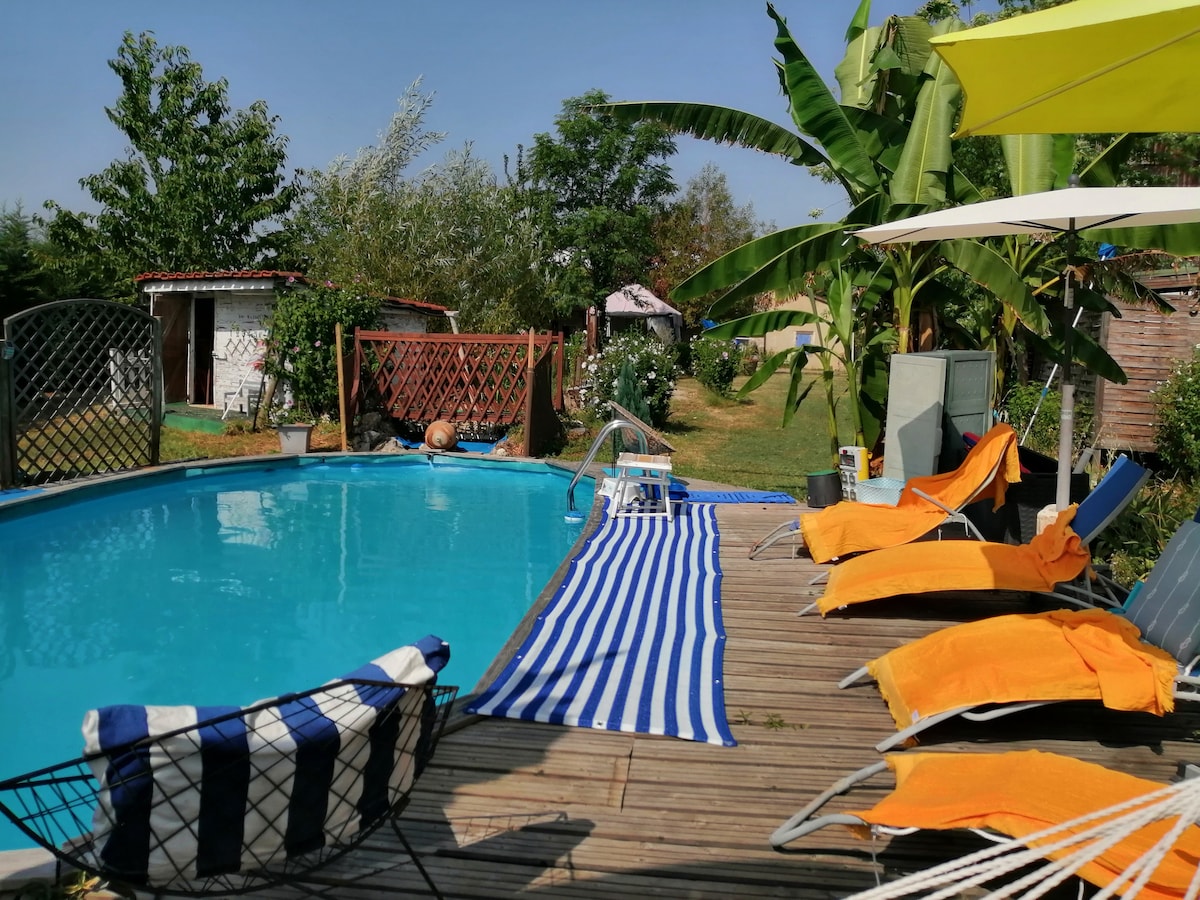 A clear blue pool is framed by a wooden deck, with colorful lounge chairs placed for relaxation. Bright orange towels are draped over some chairs, and vibrant greenery surrounds the area, providing a serene outdoor environment.