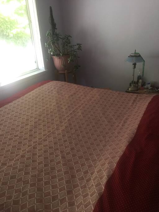 Love the king size bed with same size window Private view of back yard