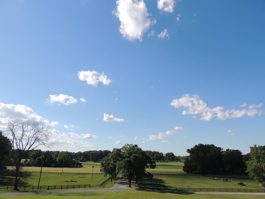 View from Front Porch