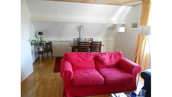 Nearby Eindhoven, Fully Furnished Apartment - Helmond